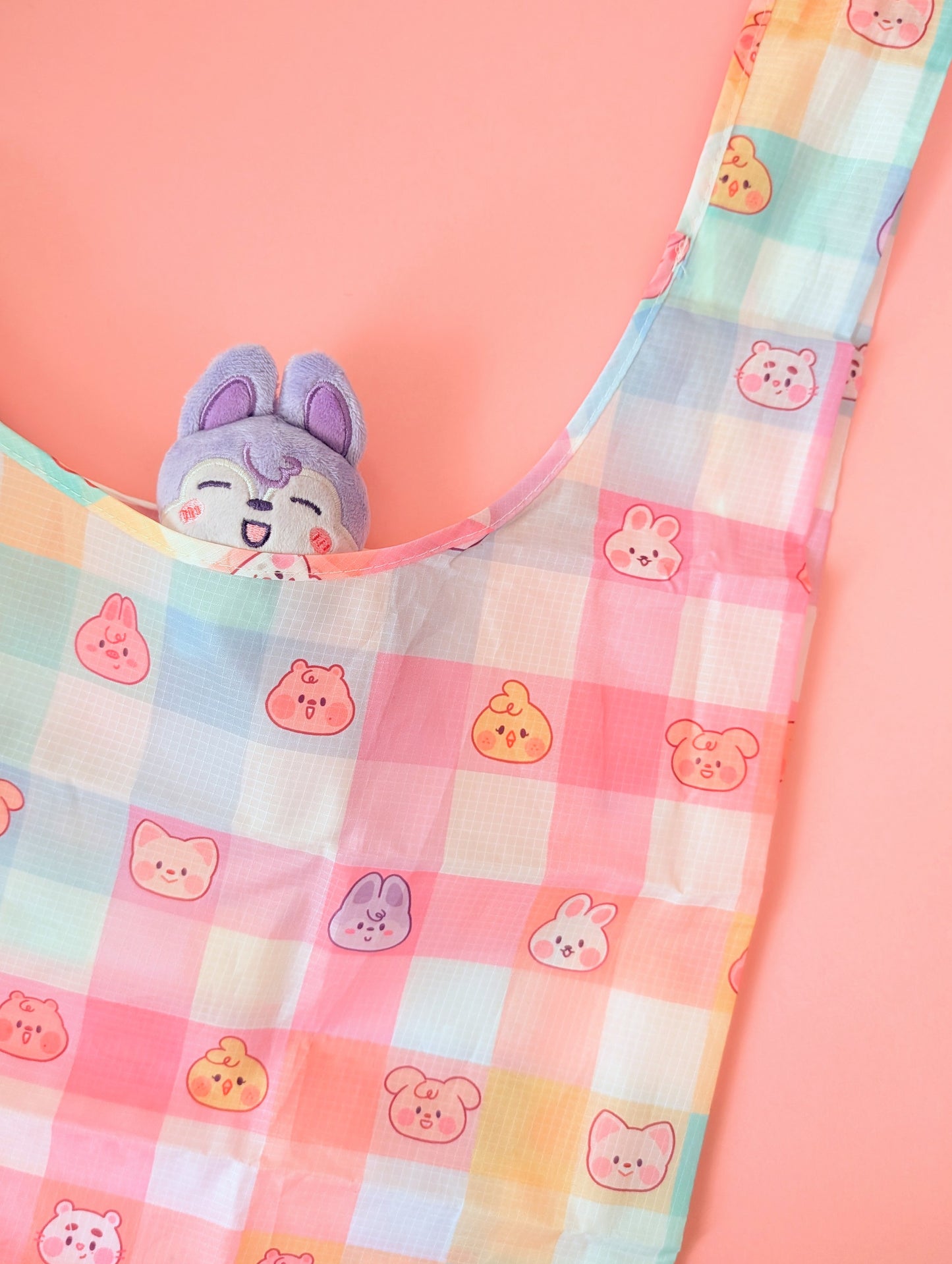 Rainbow SKZOO Eco Bag