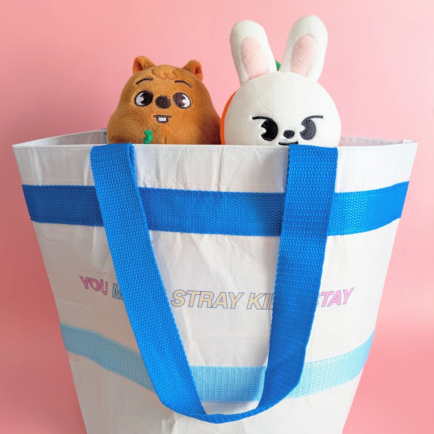 Love, Dreams, and Stray Kids Mini Eco Tote (B Grade)