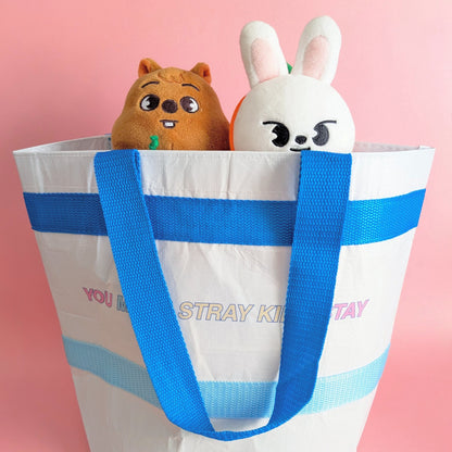Love, Dreams, and Stray Kids Mini Eco Tote (B Grade)